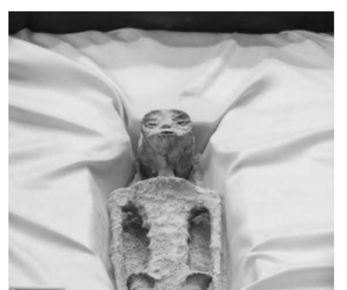 (U) Figure 1: Mexican journalist Jaime Maussan presented the alleged remains of non-human beings to Congress. (Photo credit: Reuters)
