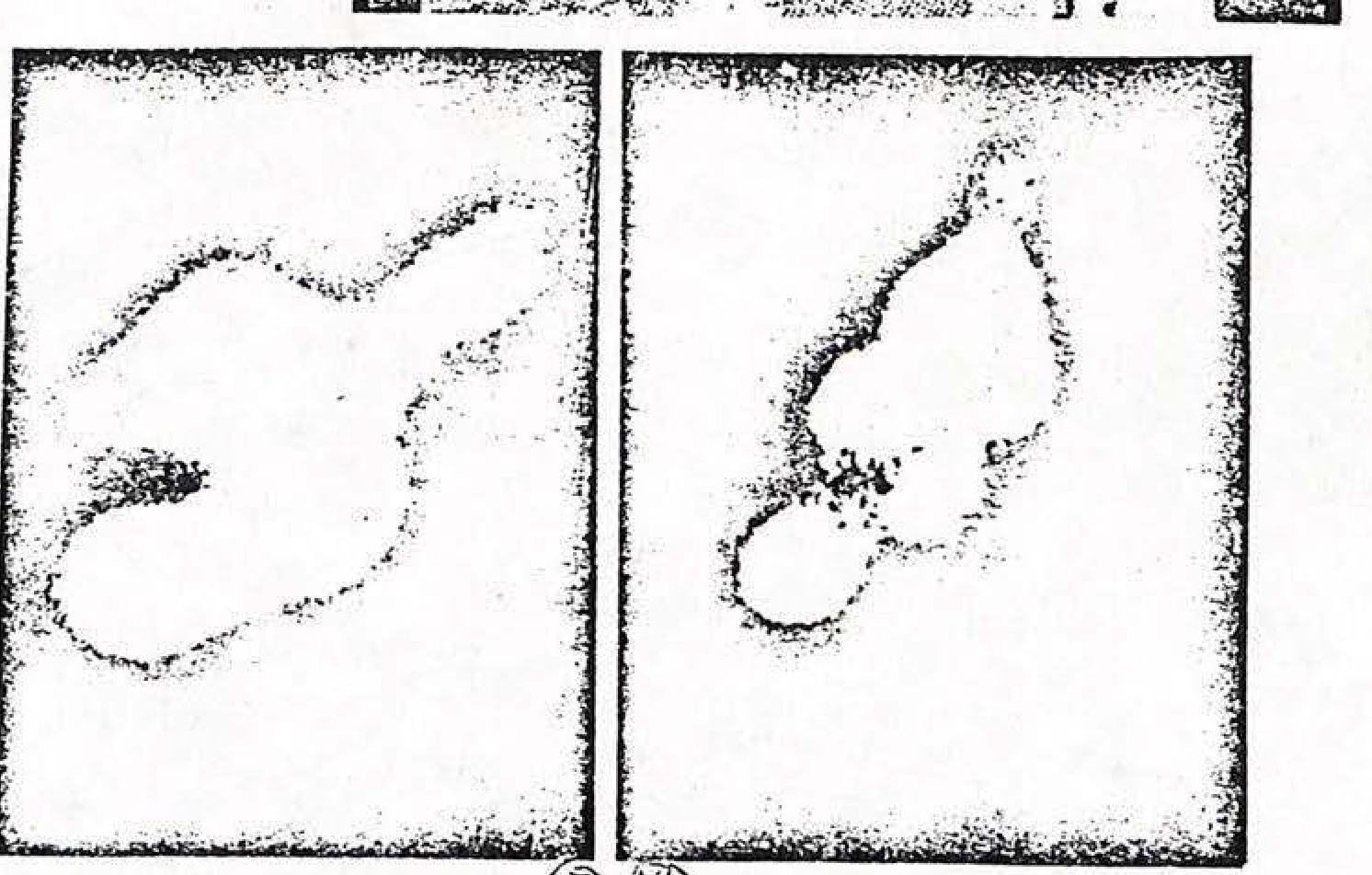 Blowups of Gemini-11 photos of Proton-3. Sun glare and extreme magnification contribute to bizarre appearance.