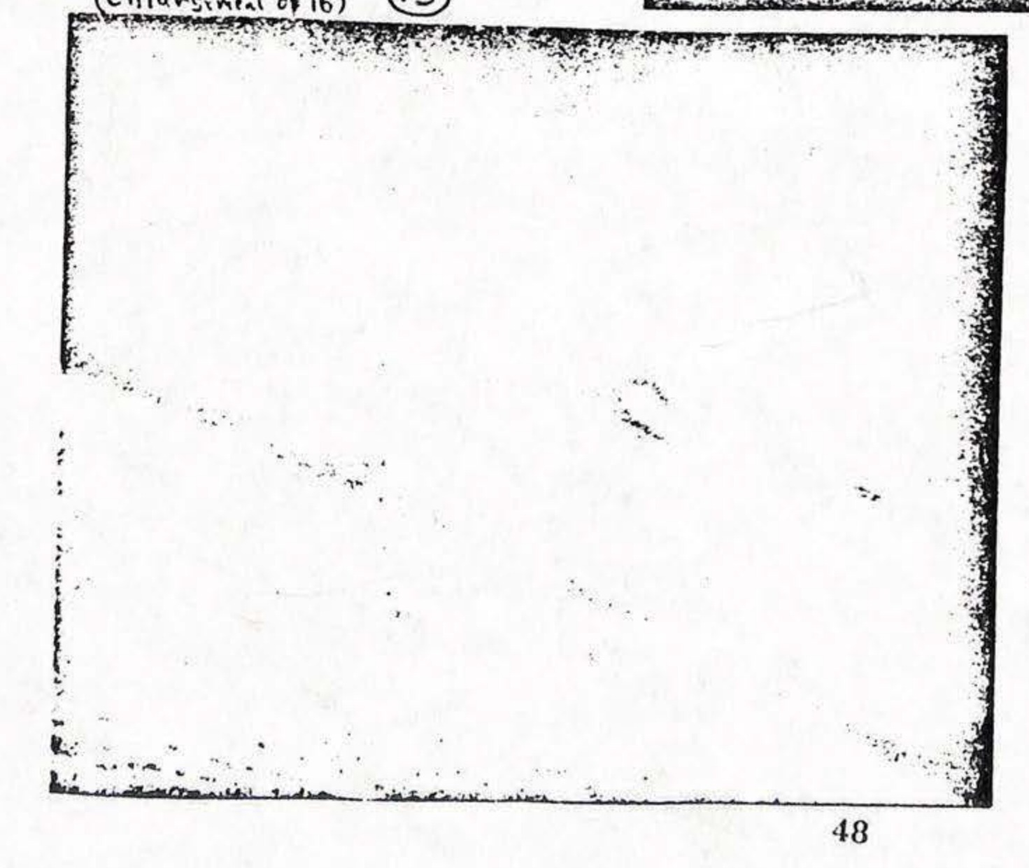 Fragment in focus at range of 3 to 5 feet-Sandler calls it "unidentifiable", and Mallan and Barry also use it. (enlargement of 16)