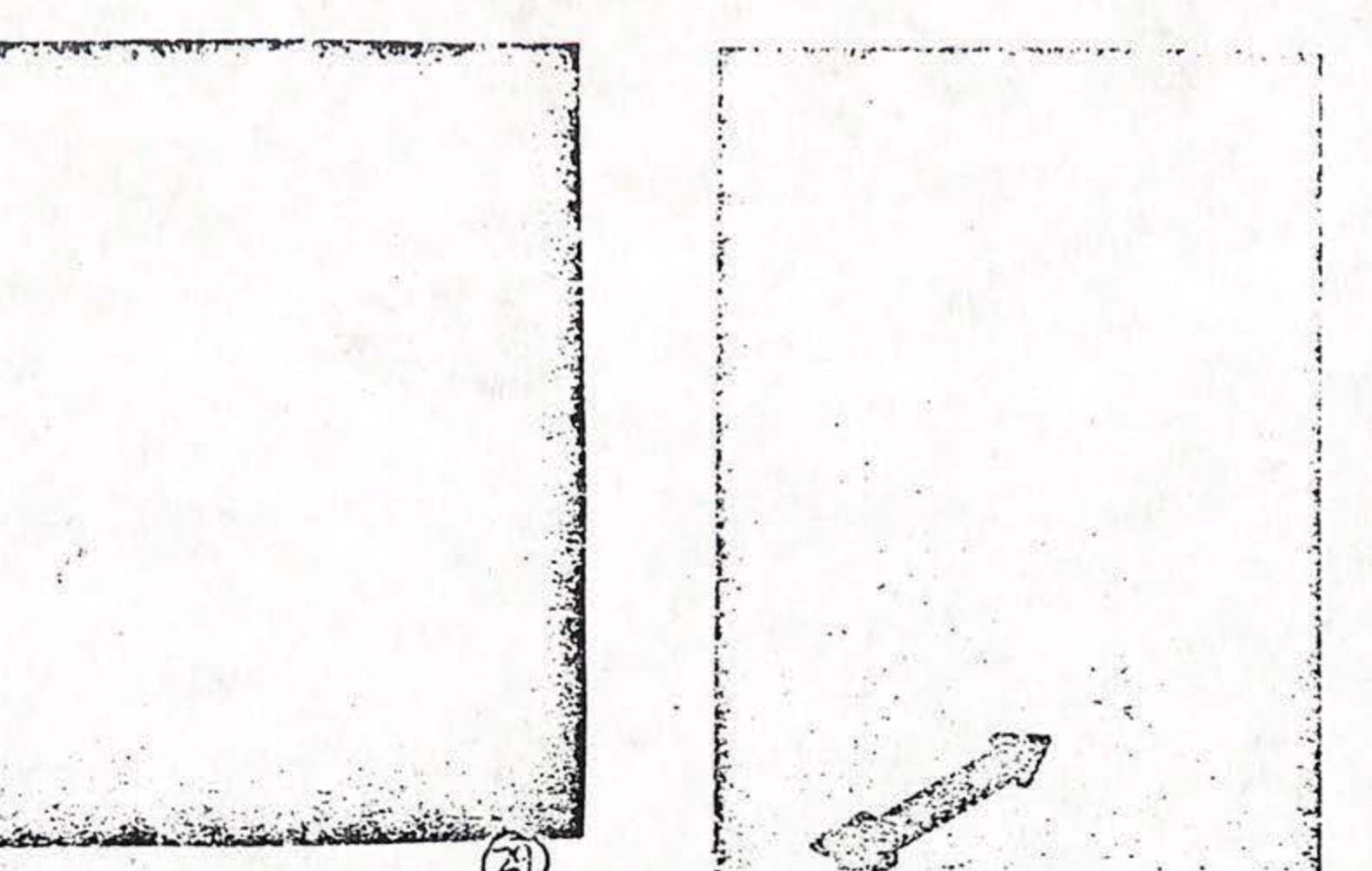 NASA photo (right) SL3-118-2140 and variations (above and below) as published with erroneous captions.