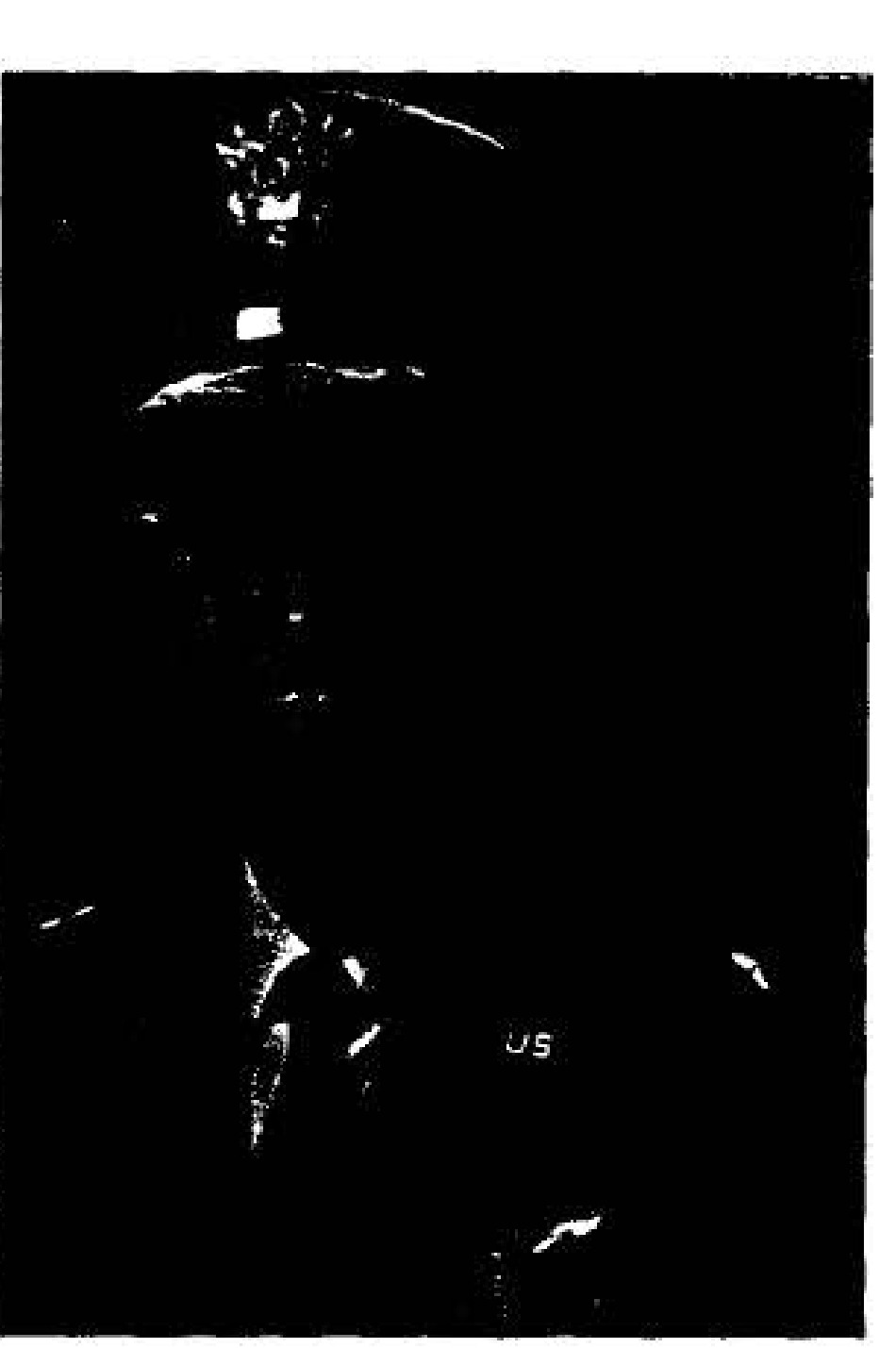Leo P. Geary