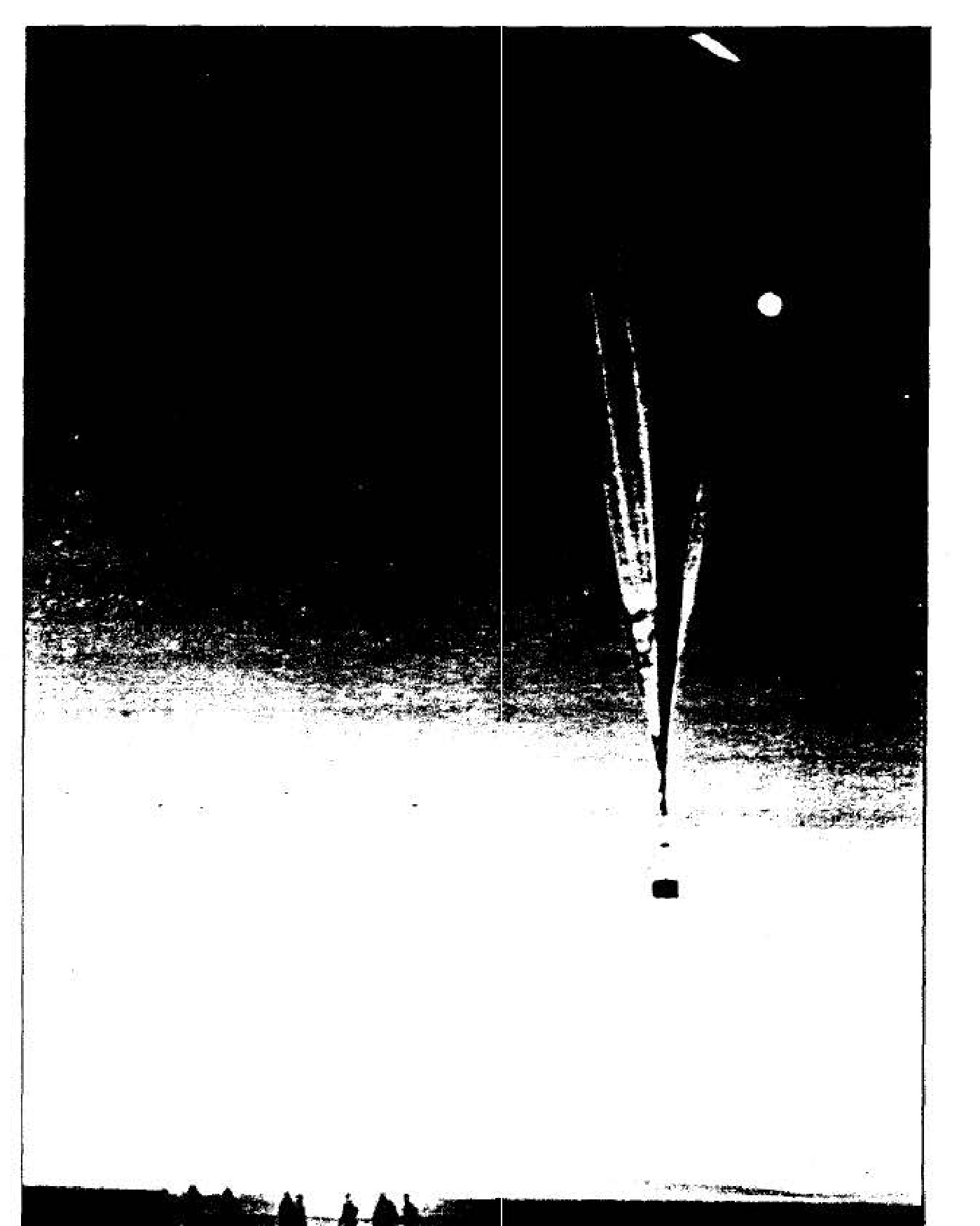 Project GENETRIX balloon
launch