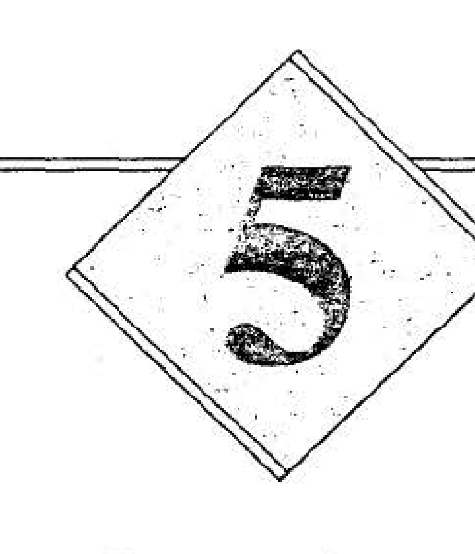 Decorative number 5 in a diamond shape, marking the start of Chapter 5.
