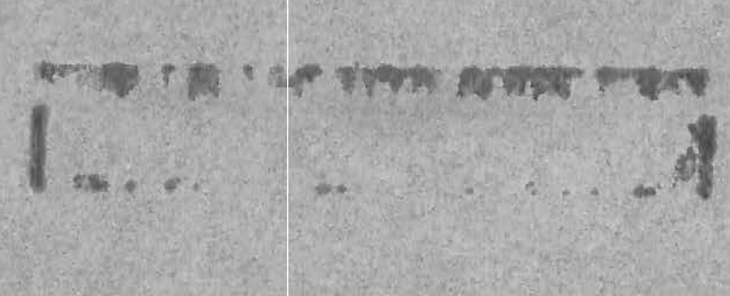 Faint image of an aircraft, likely the Chance-Vaught XF5U-1.