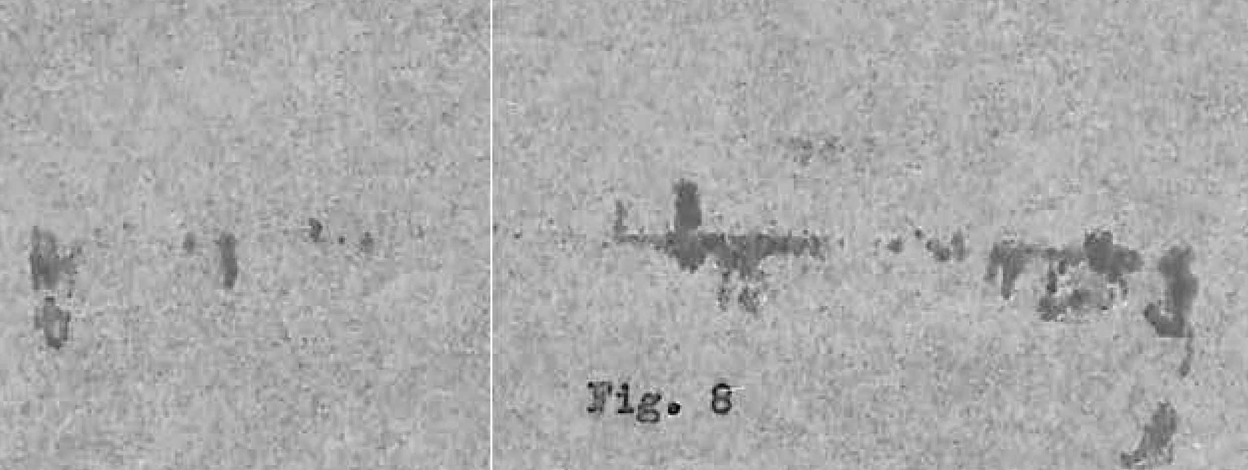 Faint image, possibly a diagram or second view of the aircraft.