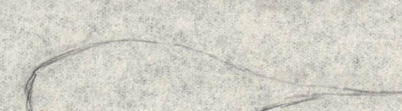Sketch of an egg-shaped object with a tail.