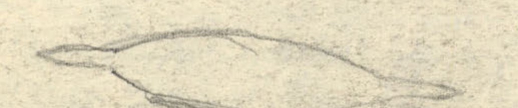 A small sketch of the saucer's side profile.