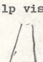Sketch of a funnel-shaped flame.