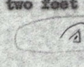 Sketch of an insignia.