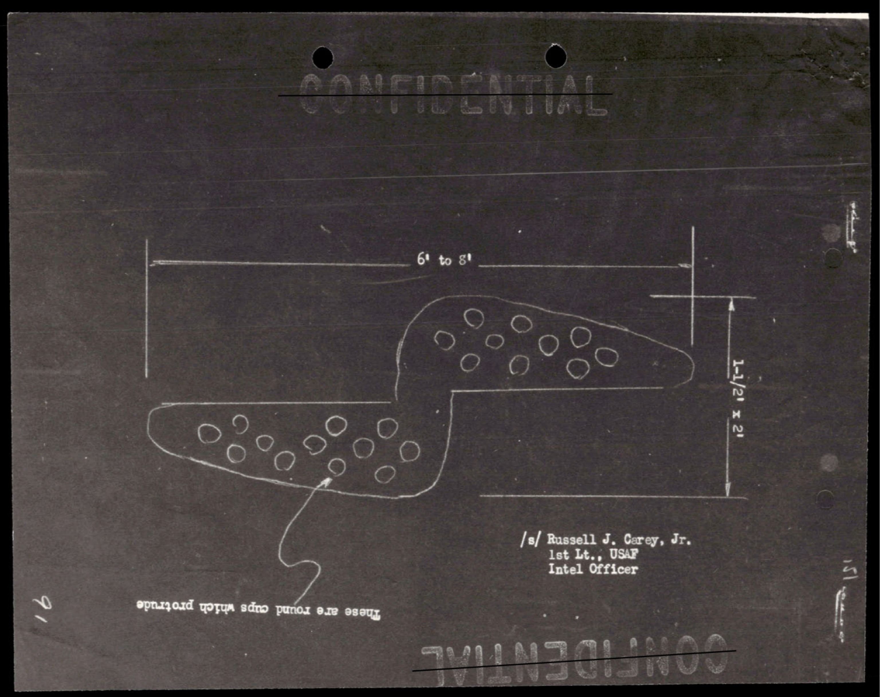 Technical diagram showing two irregular oval shapes with circular patterns inside, with dimensional measurements of 61 to 81 and 5 1/2" - 12"